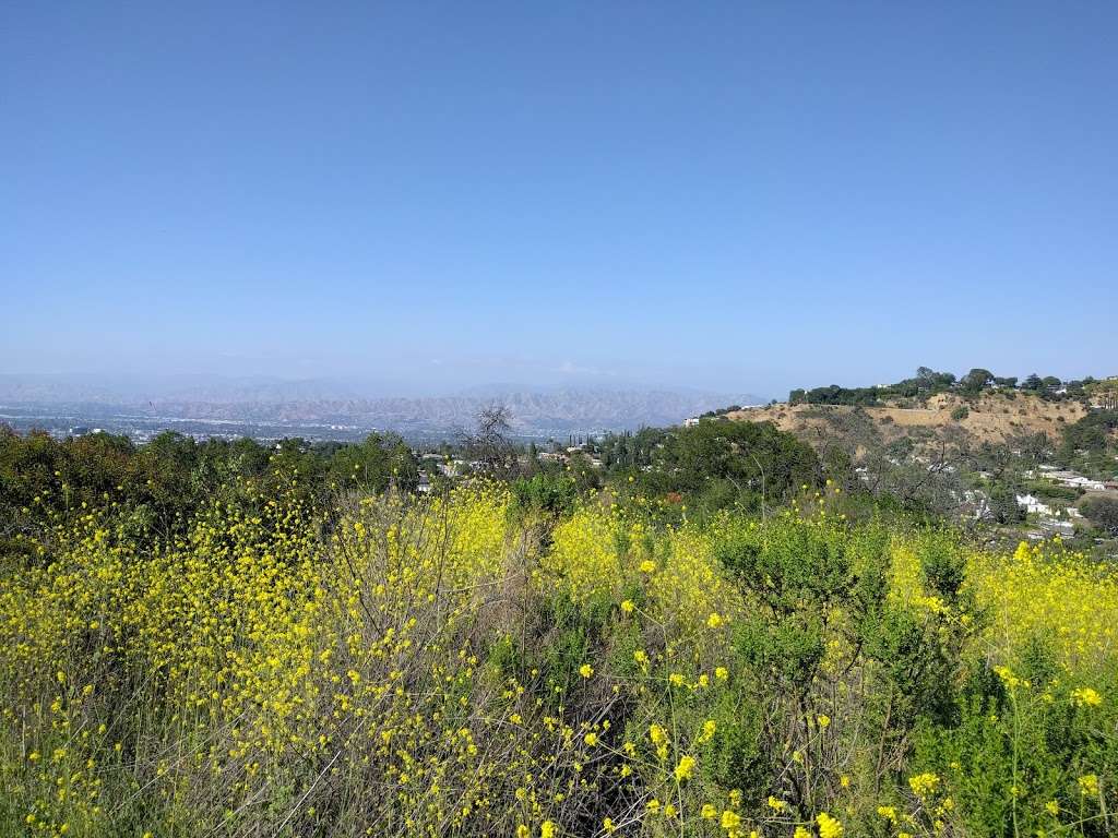 Fryman Canyon Park | 8401 Mulholland Dr, Studio City, CA 91604, USA | Phone: (310) 456-7049