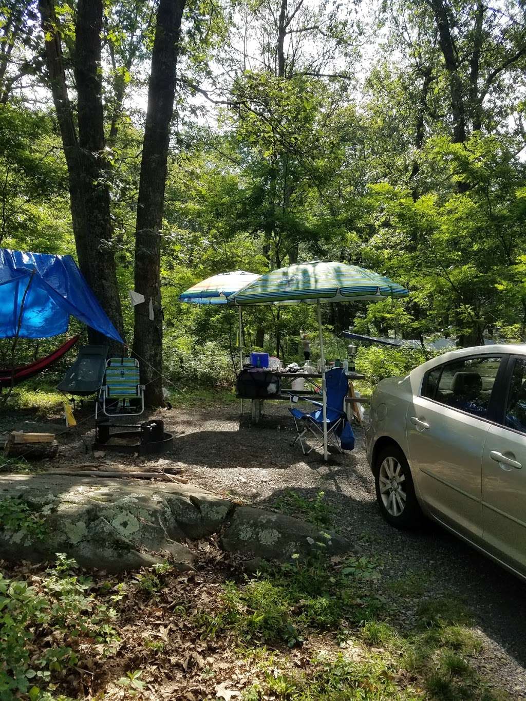 Mathews Arm Campground | Rileyville, VA 22650, USA | Phone: (540) 999-3132