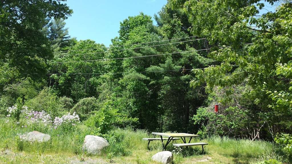 Rockland Town Forest and Conservation Land | North Ave, Rockland, MA 02370, USA | Phone: (781) 871-0579