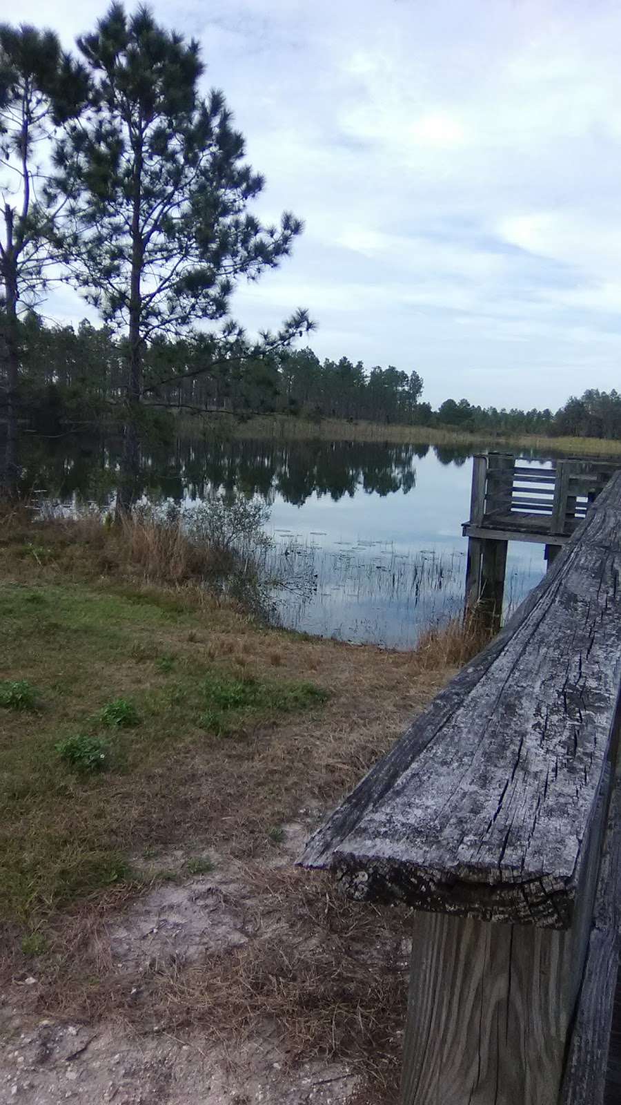 Hilochee WMA | Lake Alfred, FL 33850, USA