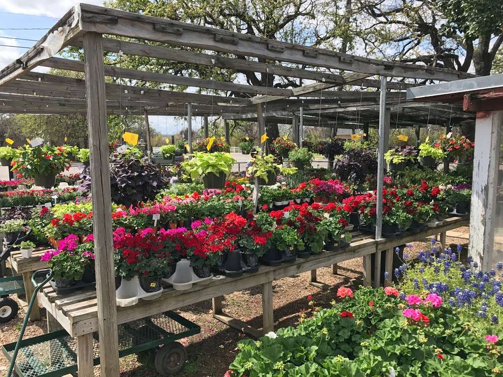 Chambers Nursery Garden Center | 3307 W Shady Grove Rd, Irving, TX 75060, USA | Phone: (972) 986-5903