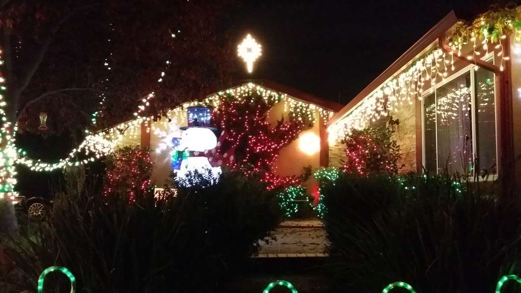 Morgans Magical Christmas Lights | 36811 Gum Ct, Newark, CA 94560, USA