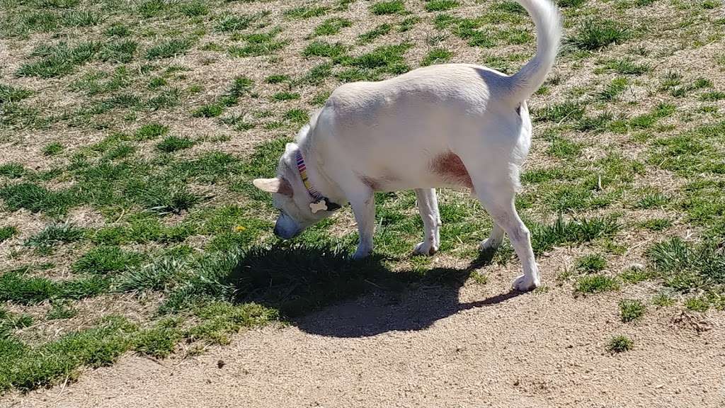 Civic Center Dog Park | 14999 Dale Evans Pkwy, Apple Valley, CA 92307, USA | Phone: (760) 240-7000