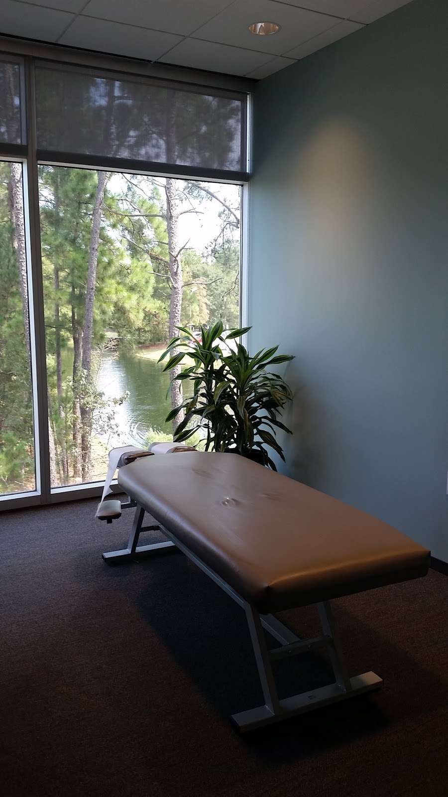 Alternative Health Center of The Woodlands-Dr. Stephen Clouthier | 2829 Technology Forest Blvd #250, The Woodlands, TX 77381, USA | Phone: (281) 419-9104