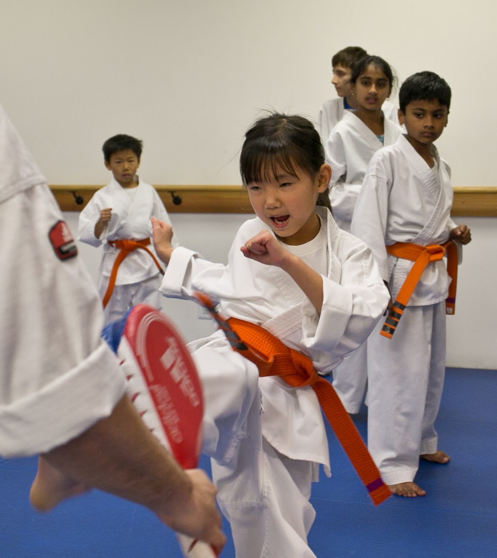 Martial Arts Academy | 12840 Saratoga Sunnyvale Rd, Saratoga, CA 95070, USA | Phone: (408) 872-1984