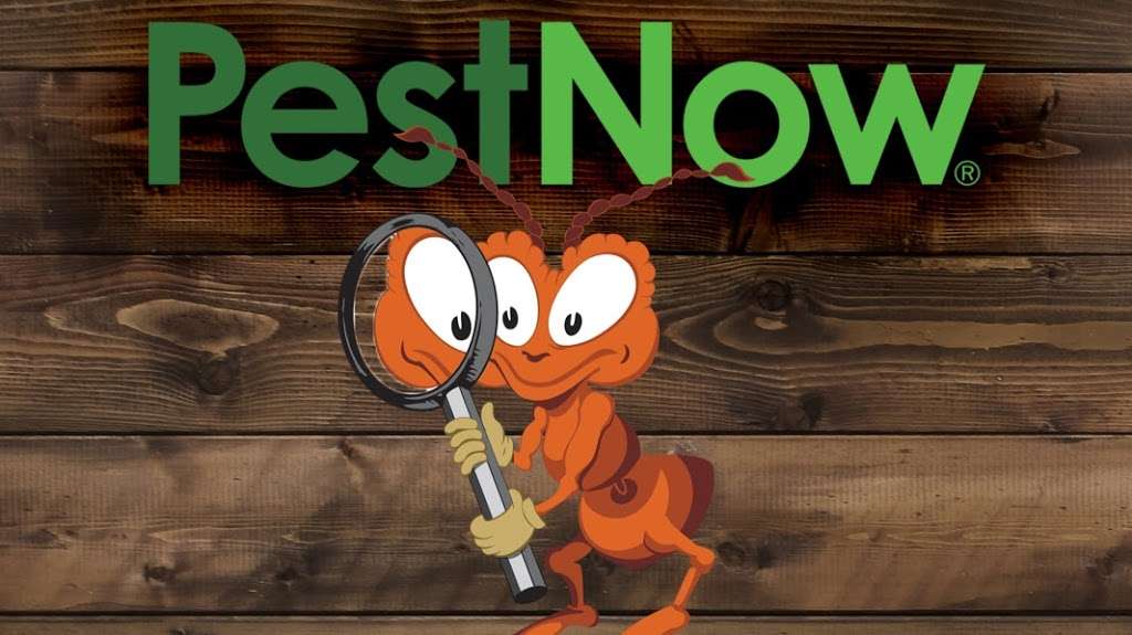 PestNow | 9639 Dr Perry Rd #121, Ijamsville, MD 21754 | Phone: (877) 284-2466