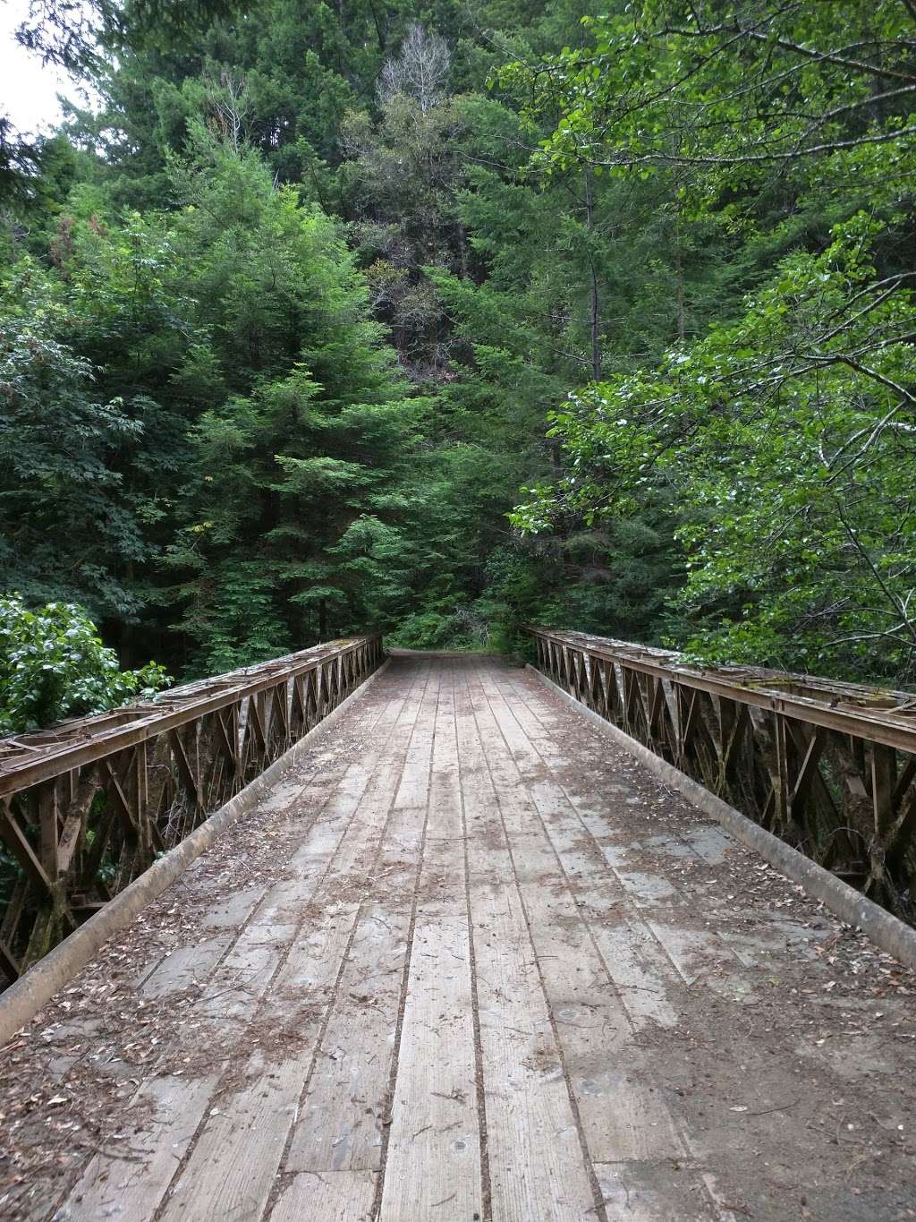 Point Group Camp, Portola Redwoods State Park | Point Group Camp Rd, La Honda, CA 94020, USA Point Group Camp, Portola Redwoods State Park | Point Group Camp Rd, La Honda, CA 94020, USA