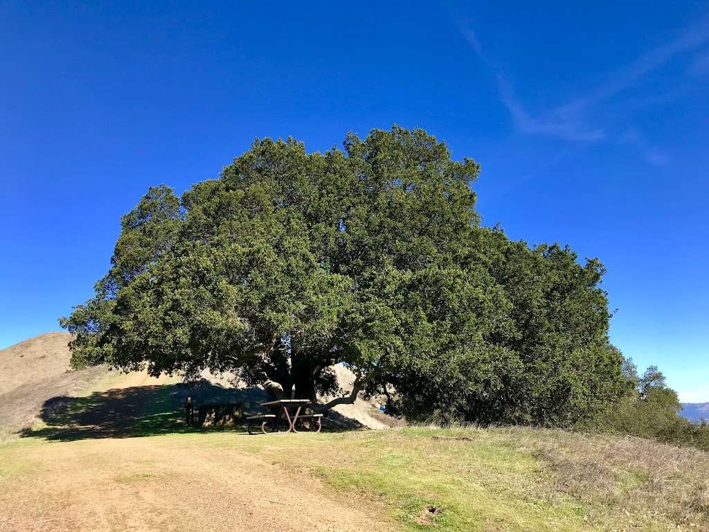 Rancho Cañada del Oro Open Space Preserve | 4289 Casa Loma Rd, Morgan Hill, CA 95037, USA | Phone: (408) 224-7476