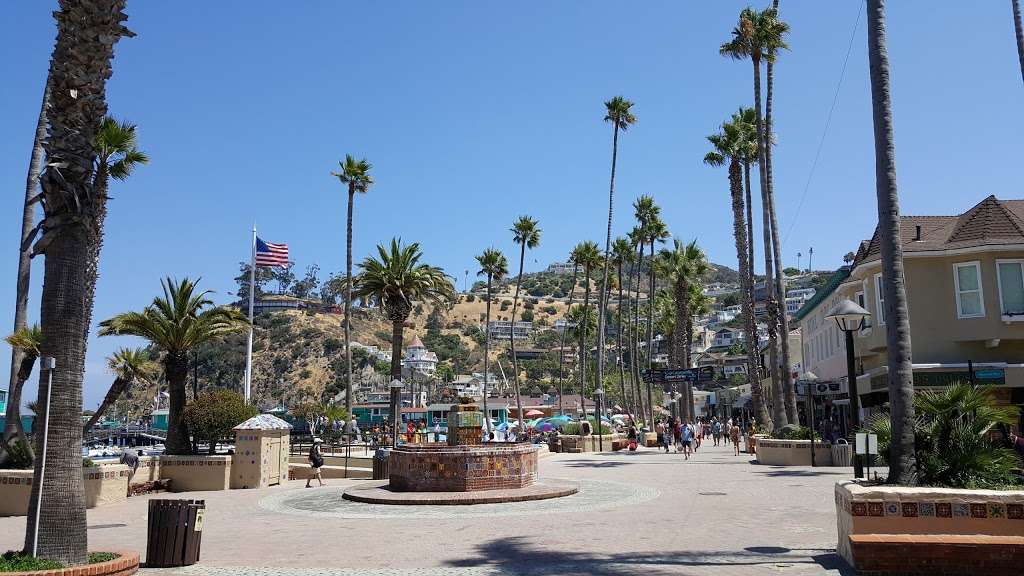 Catalina Tours | 205 Crescent Ave, Avalon, CA 90704 | Phone: (310) 510-0211