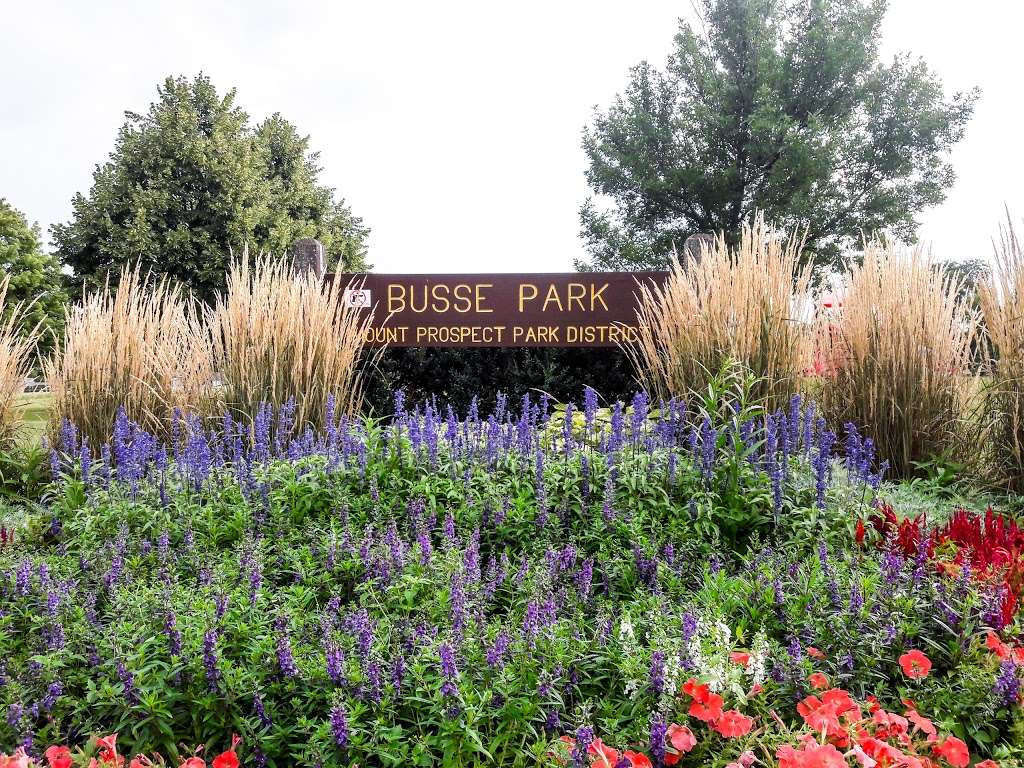 Busse Park | Mt Prospect, IL 60056