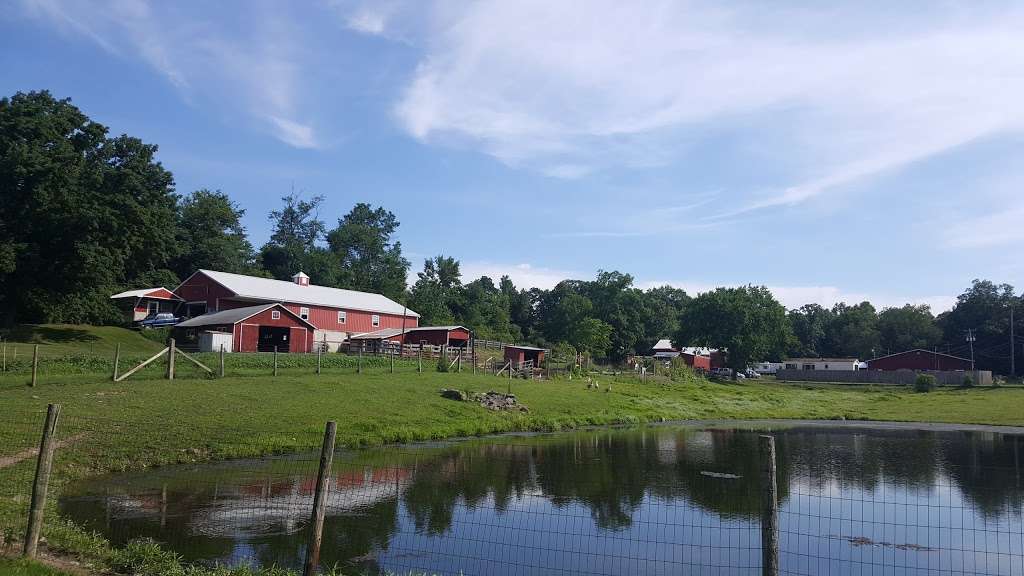 Pleasant Acres Farm Campground | 61 Dewitt Rd, Sussex, NJ 07461, USA | Phone: (973) 875-4166