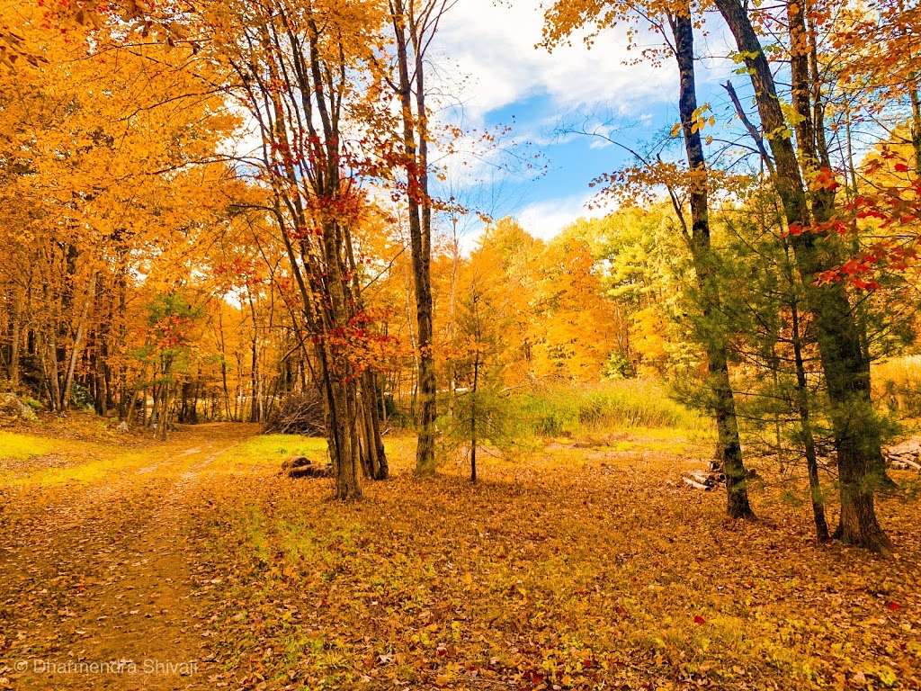 Clyde Pond | London Bridge Rd, Windham, NH 03087, USA