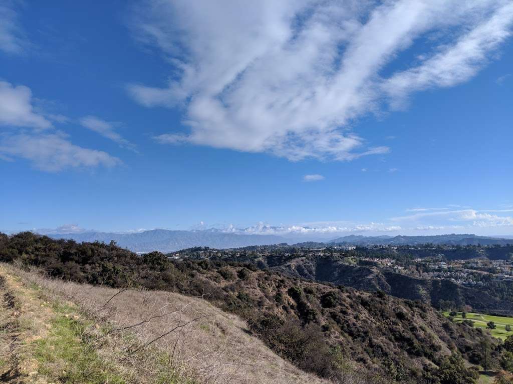 Canyonback Trail | Los Angeles, CA 90049