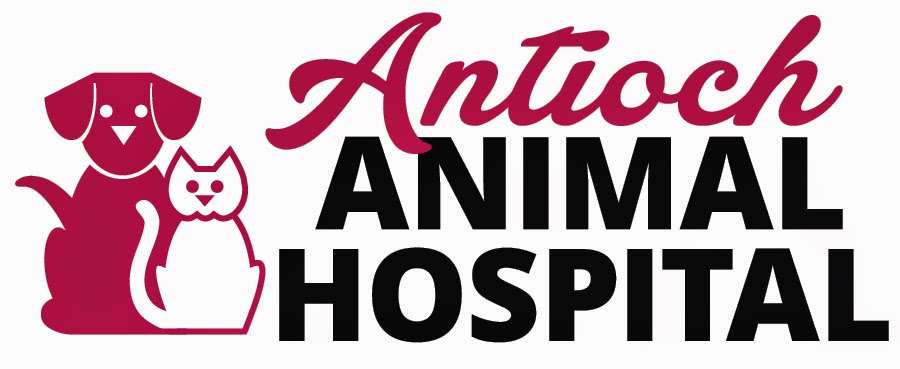 Antioch Animal Hospital | 40949 N, IL-83, Antioch, IL 60002 | Phone: (847) 395-0636