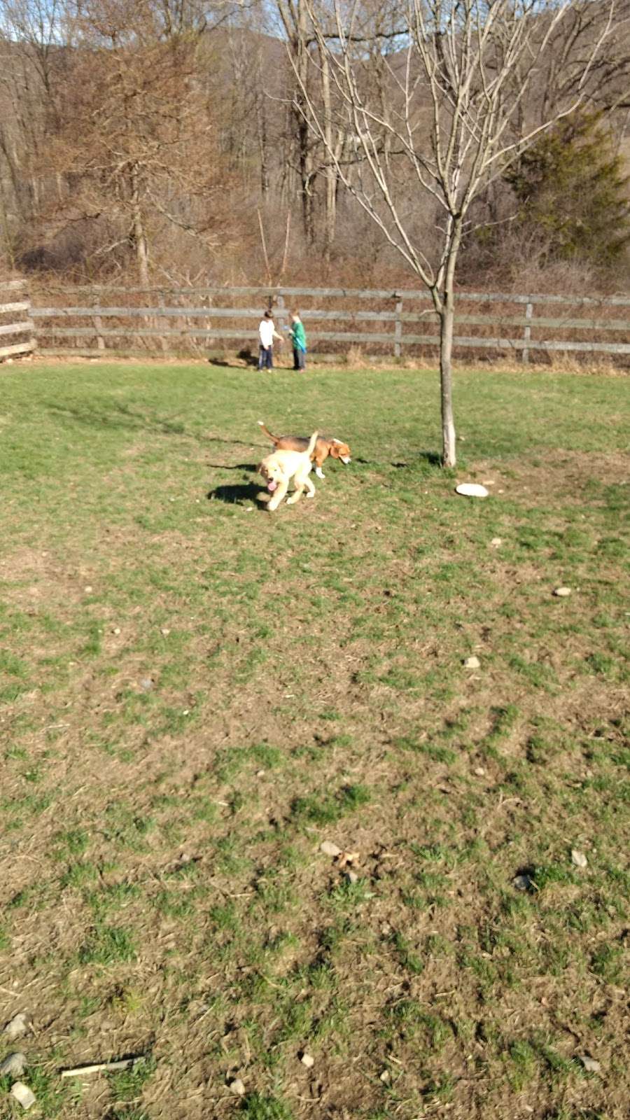 Cornwall NY Dog Park | 15 Muser Dr, Cornwall, NY 12518, USA | Phone: (845) 213-8650