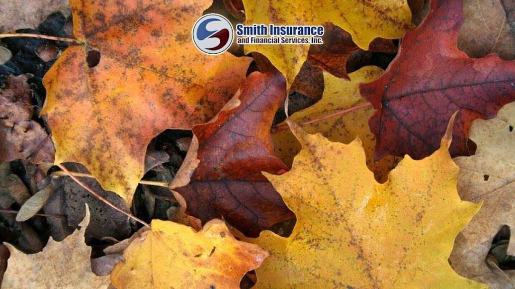 Smith Insurance & Financial Services | W230S8735 Clark St, Big Bend, WI 53103 | Phone: (262) 662-4327