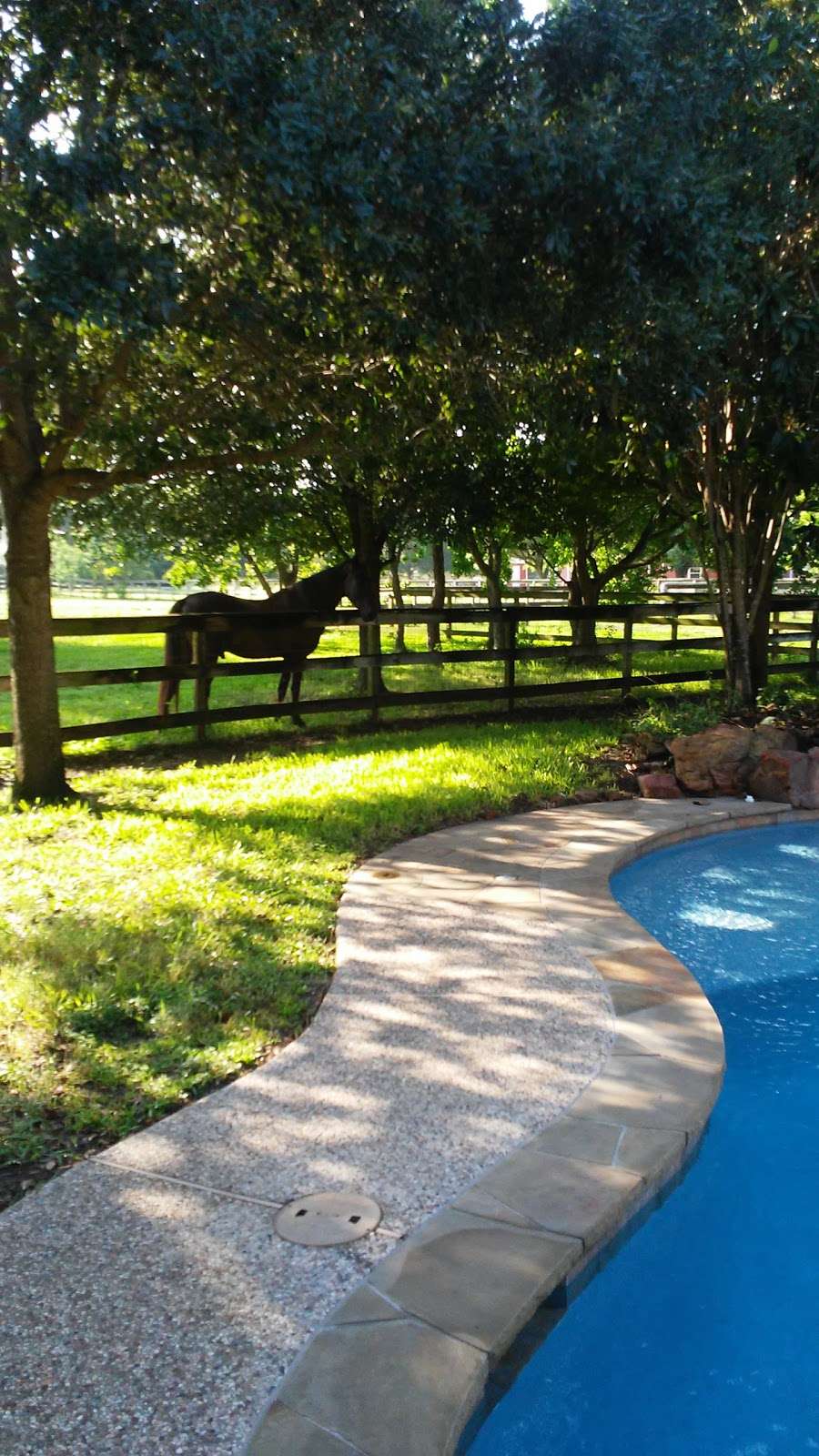 Blackhorse Ranch (North) Clubhouse & Pool | 26501 Wedgewood Park, Cypress, TX 77433, USA