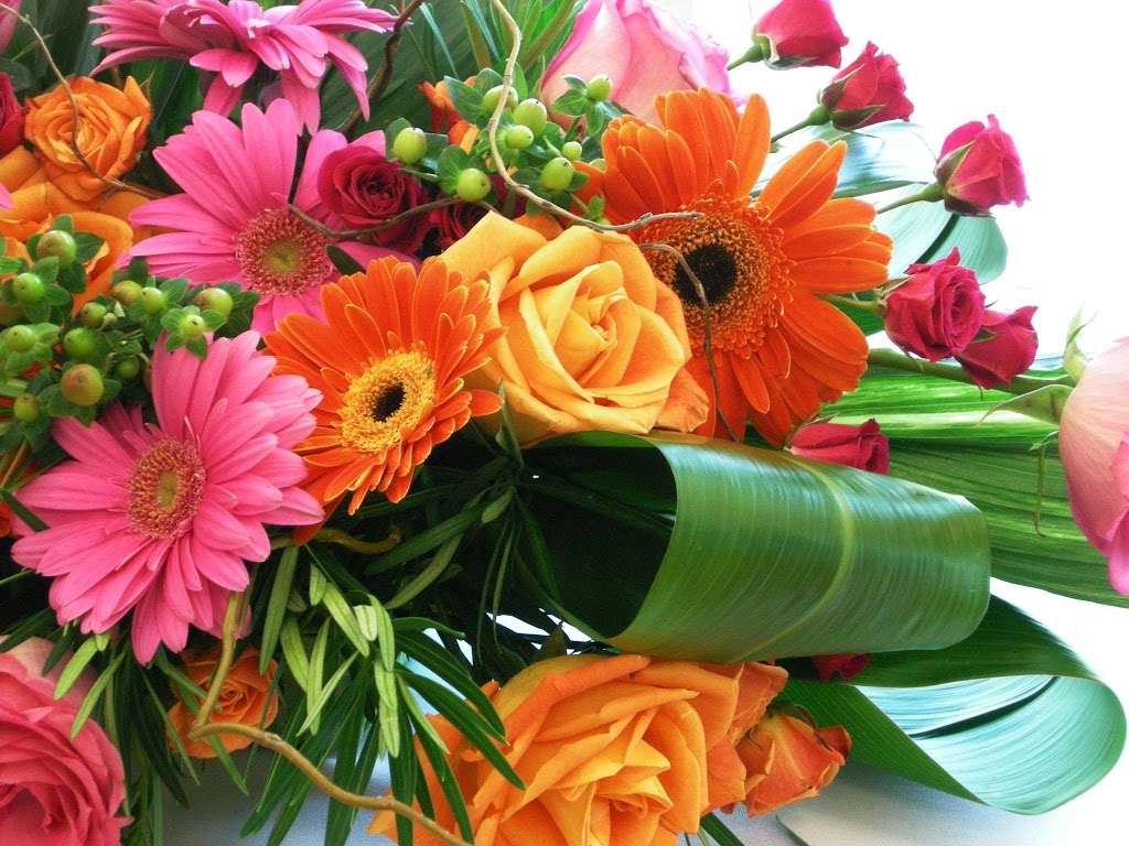 Vickies Flowers | 16150 Geneva Ct, Brighton, CO 80602 | Phone: (720) 685-8005
