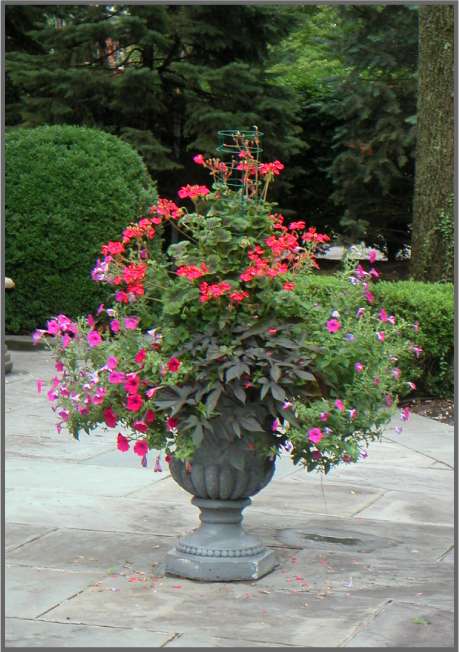 Fine Gardens | 31 Splitrock Rd, Norwalk, CT 06854, USA | Phone: (917) 209-4523