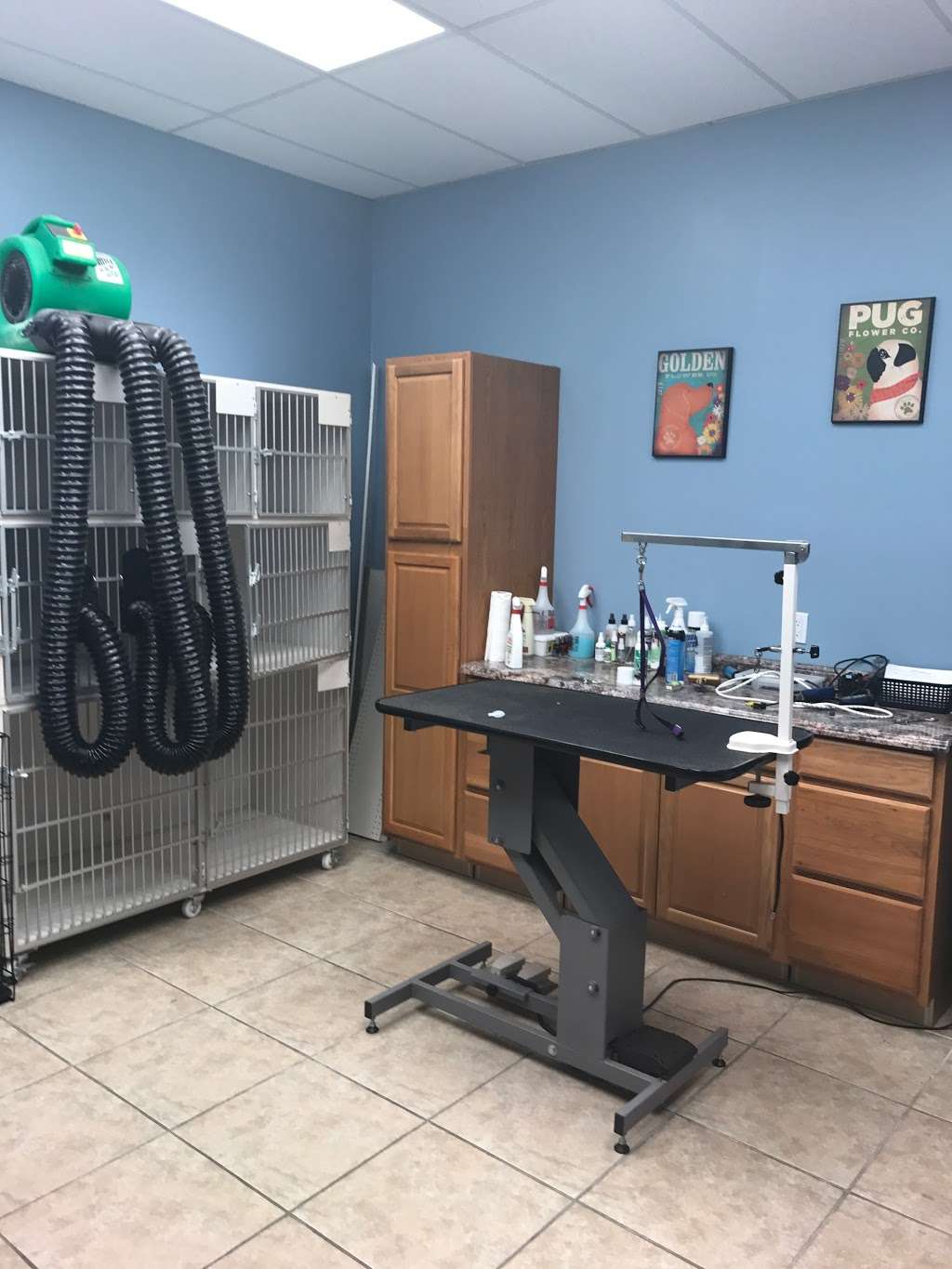 All 4 Pets | 7612 University Blvd, Winter Park, FL 32792 | Phone: (407) 571-9253