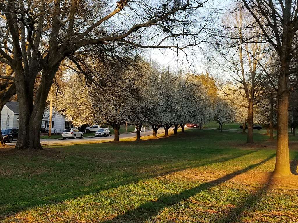 Walter Elisha Park | 345 N White St, Fort Mill, SC 29715, USA | Phone: (803) 547-2273