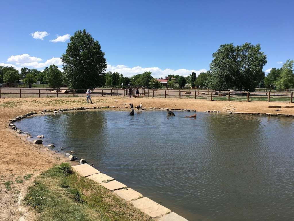 Louisville Community (Dog) Park | 955 Bella Vista Dr, Louisville, CO 80027 | Phone: (502) 876-9416