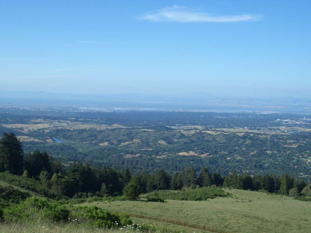 Windy Hill | Hamms Gulch Trail, Portola Valley, CA 94028, USA