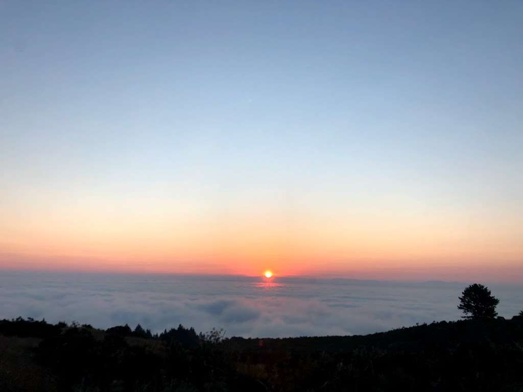 Windy Hill | Spring Ridge Trail, Portola Valley, CA 94028, USA