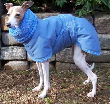 Blue Willow Dog Coats | 3821 Co Hwy H, Franksville, WI 53126, USA | Phone: (262) 884-9416