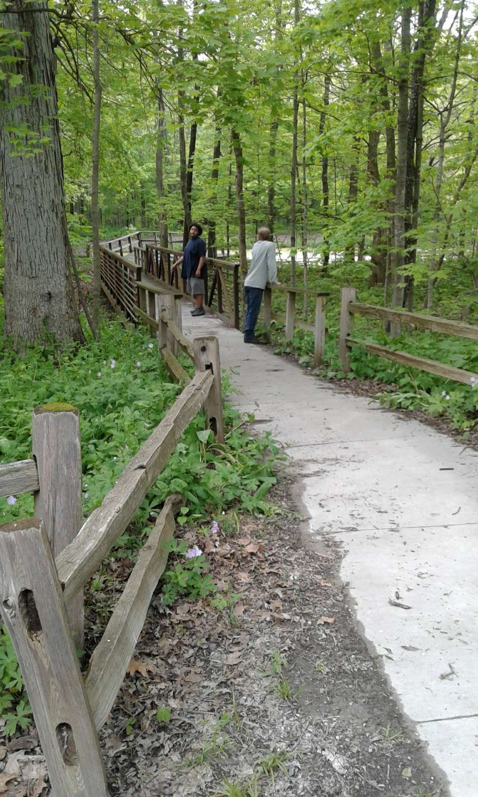 Humiston Woods Nature Preserve | 2100 North Rd , Pontiac, IL 61764, E 2100 N Rd, Pontiac, IL 61764, USA | Phone: (815) 844-5831