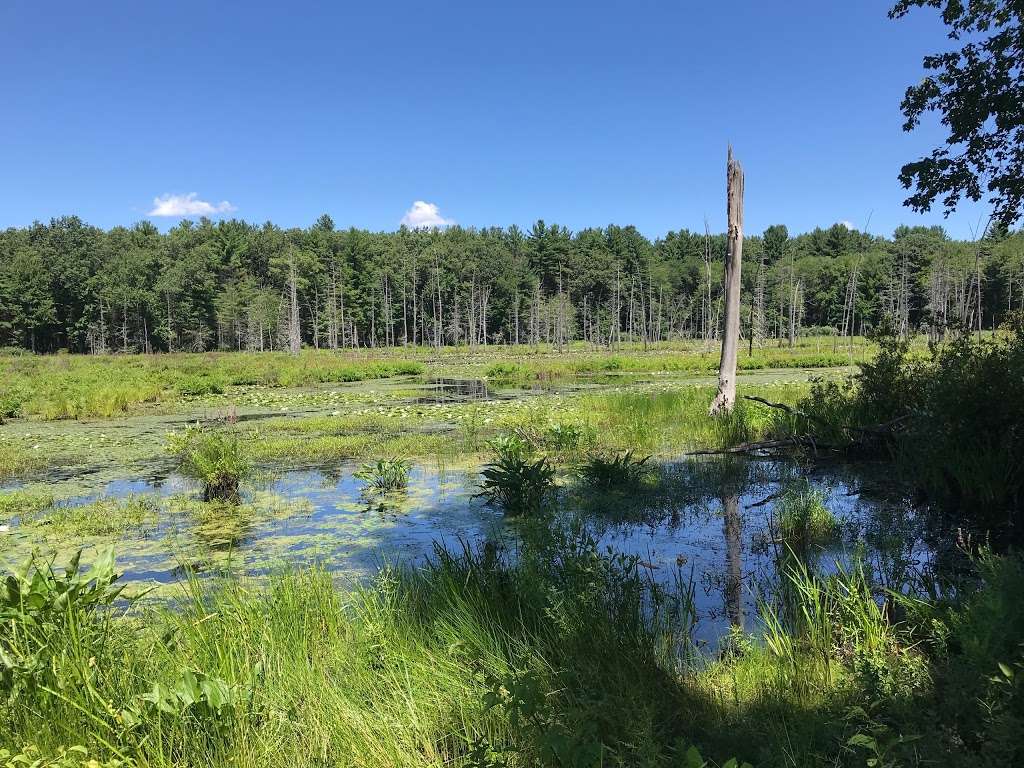 Assabet River National Wildlife Refuge | 680 Hudson Rd, Sudbury, MA 01776, USA | Phone: (978) 562-3527