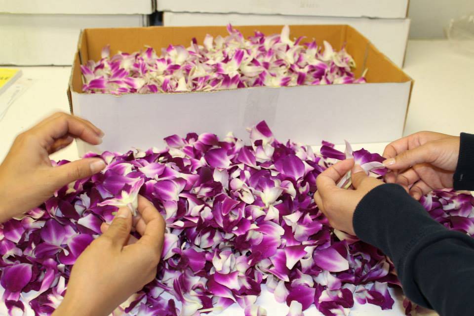 Aloha Island Lei and Floral | 99-1366 Koaha Pl, Aiea, HI 96701, USA | Phone: (808) 596-0707