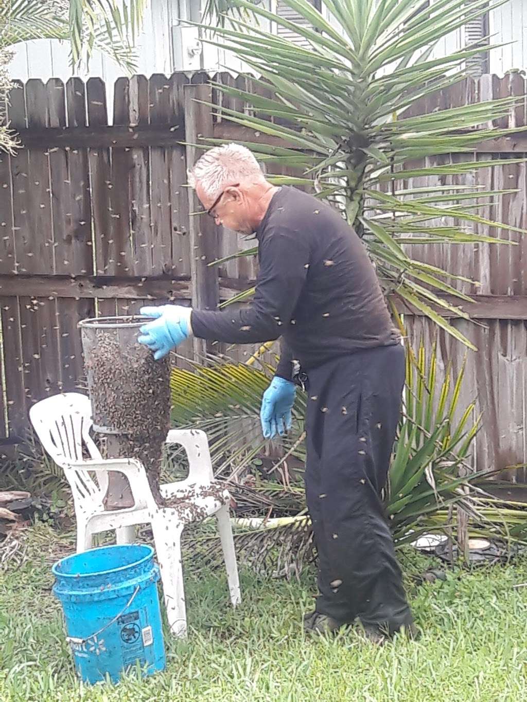Lake Worth Bee Removal by Beekeepers | 5455 Canal Dr, Lake Worth, FL 33463 | Phone: (561) 531-9708