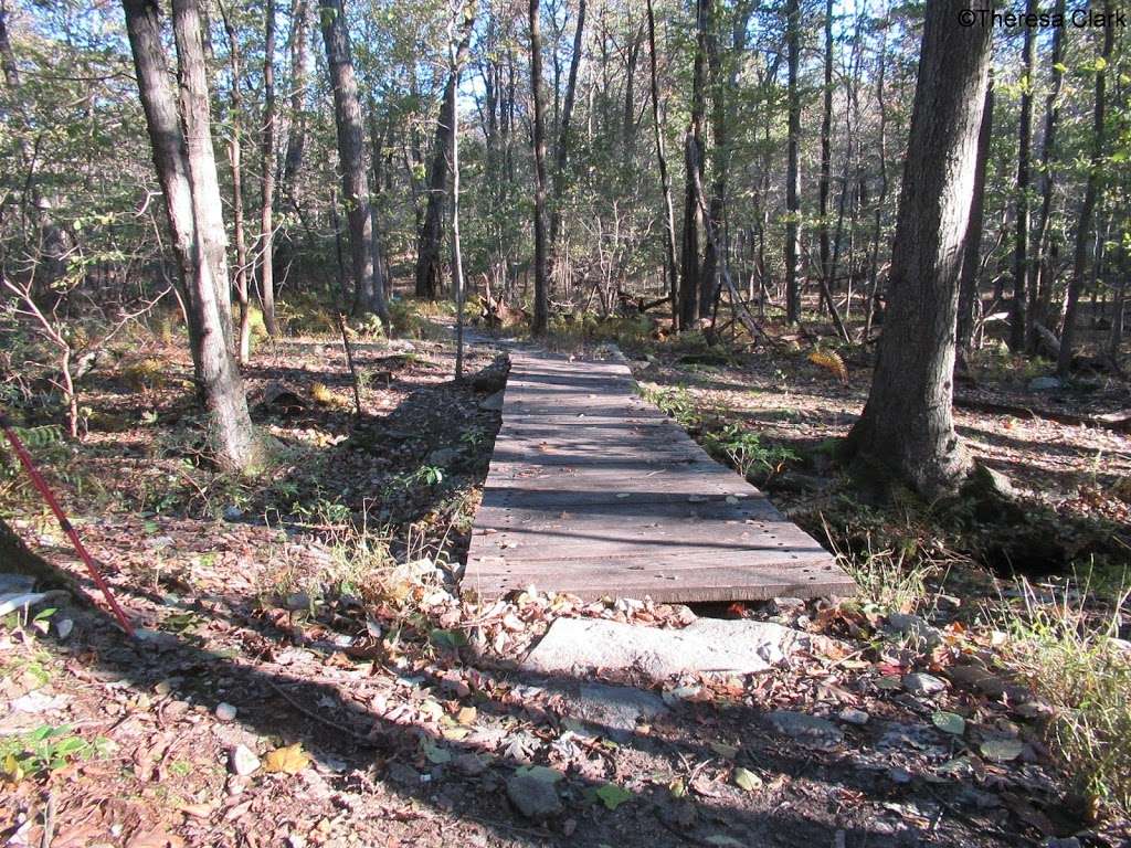 Frederick Municipal Forest | Frederick, MD 21702, USA