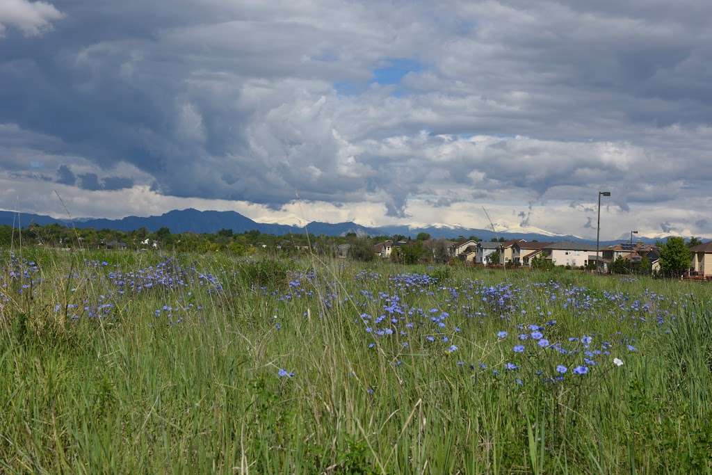 Broomfield Commons Open Space | 13200 Sheridan Boulevard, Broomfield, CO 80020 | Phone: (303) 438-6335