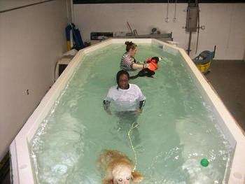 Pupn Iron Canine Fitness & Learning Center | 21 Perchwood Dr, Fredericksburg, VA 22405, USA | Phone: (540) 659-7614