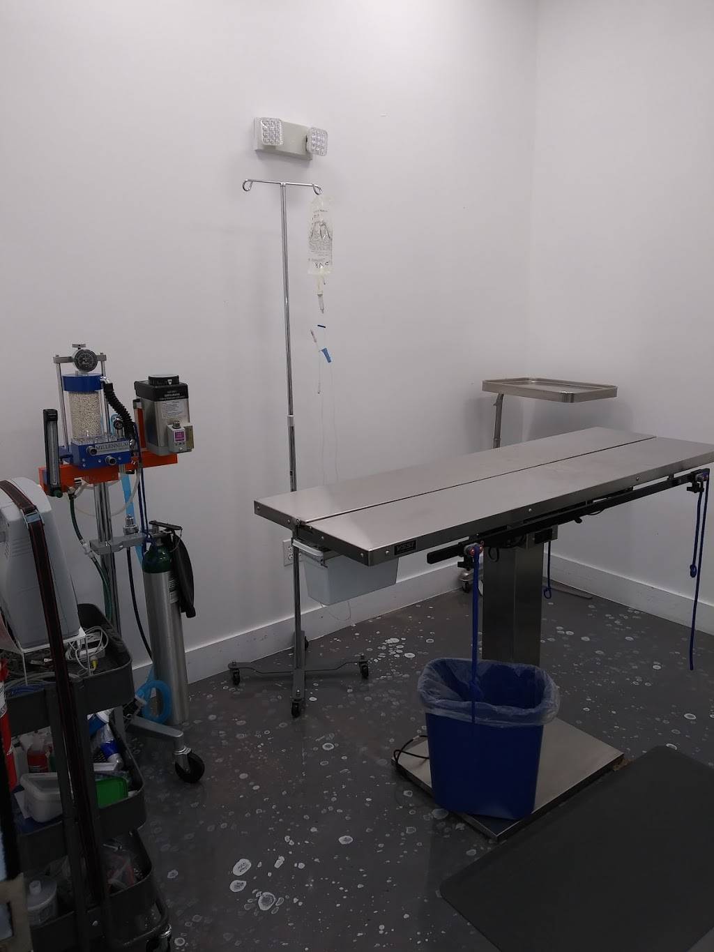 EdgeWater Pet Clinic | 162 NE 25th St #102, Miami, FL 33137, USA | Phone: (305) 697-9848