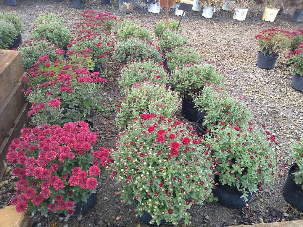 Four Seasons Landscaping Nursery | 226 East U.S. Highway 6, Valparaiso, IN 46383, USA | Phone: (219) 464-4941