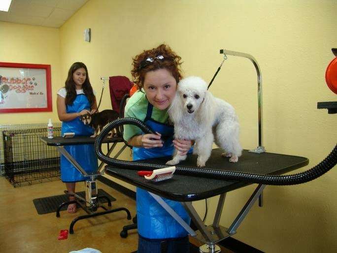 Rubber Doggies Wash n Go | 3929 Cibolo Valley Dr #240, Cibolo, TX 78108, USA | Phone: (210) 659-3000