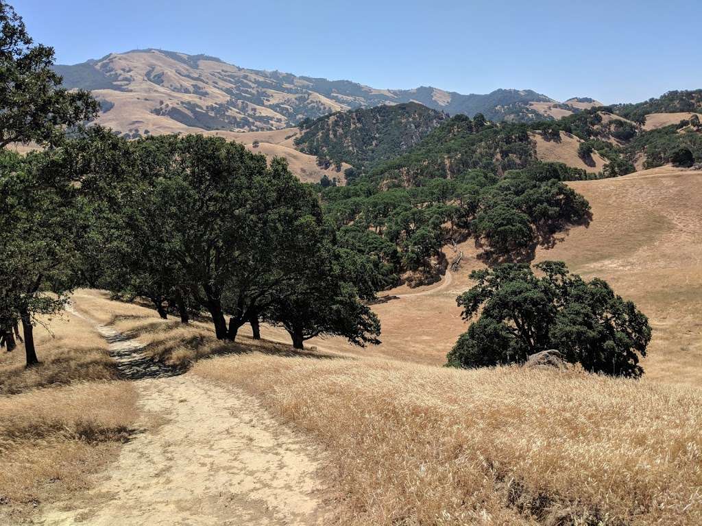 Diablo Foothills Regional Park | 1700 Castle Rock Rd, Walnut Creek, CA 94598 | Phone: (510) 544-3086