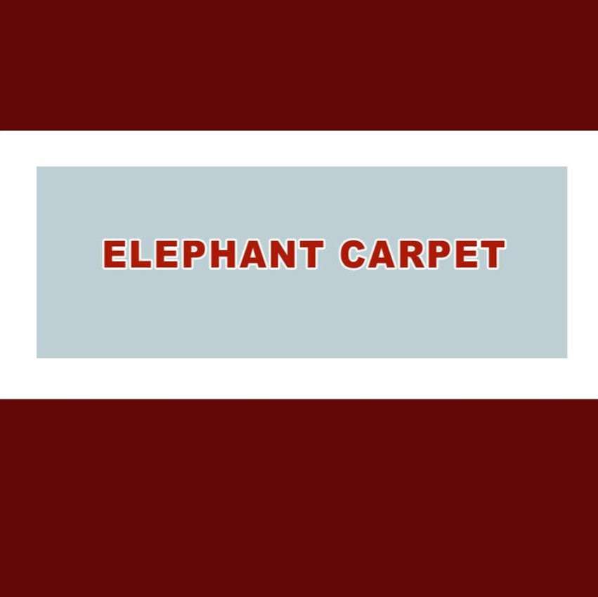 Elephant Carpet Cleaning | 5826 New Territory Blvd #607, Sugar Land, TX 77479 | Phone: (281) 962-4391
