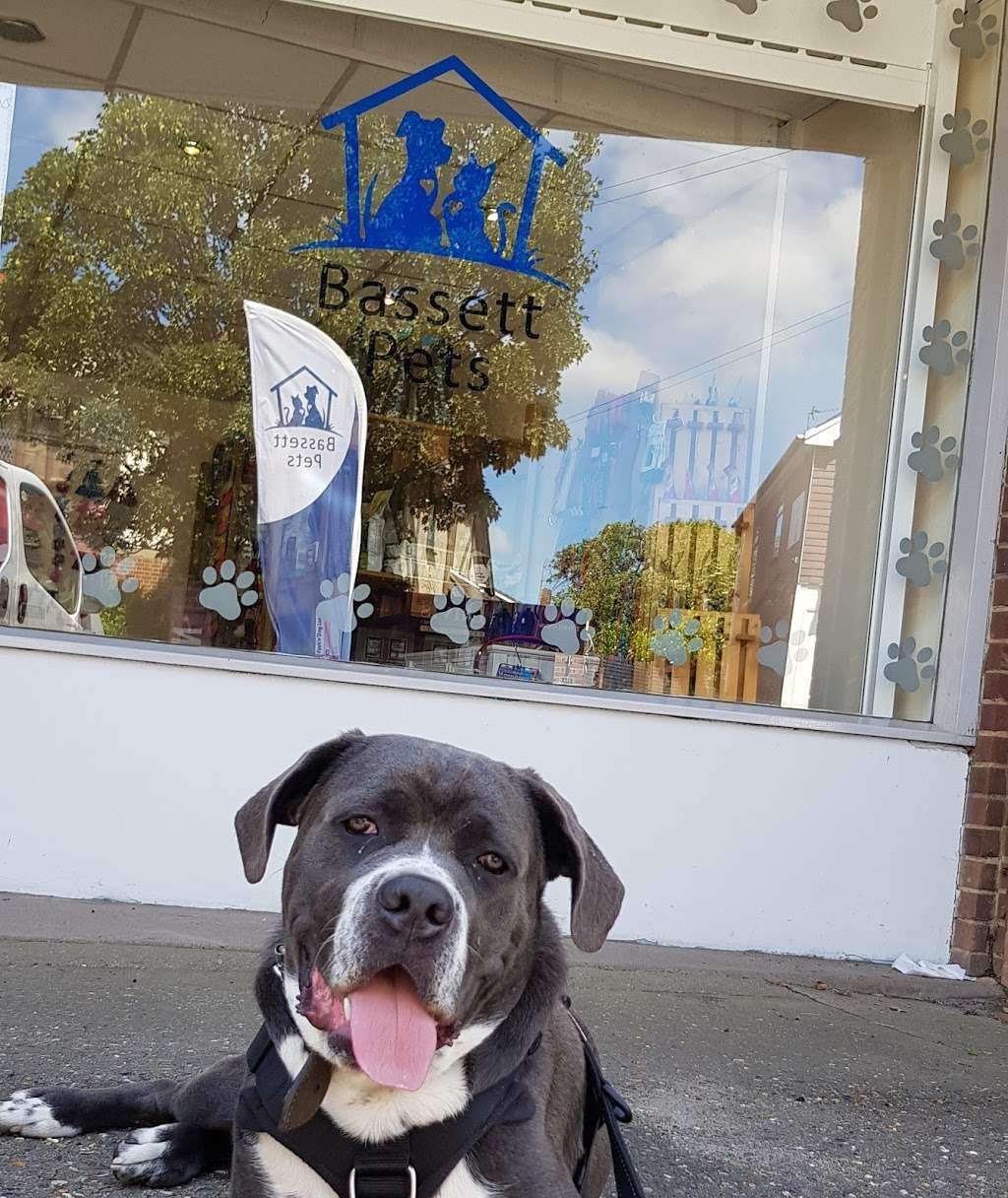 Bassett Pets | 36 High Rd, North Weald Bassett, Epping CM16 6BU, UK | Phone: 01992 525652