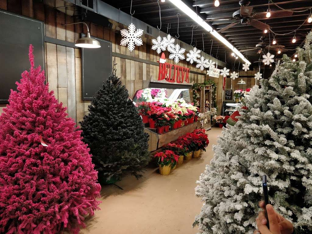 Berry Fresh Farms | 151 Brick Blvd, Brick, NJ 08723, USA | Phone: (732) 477-0606