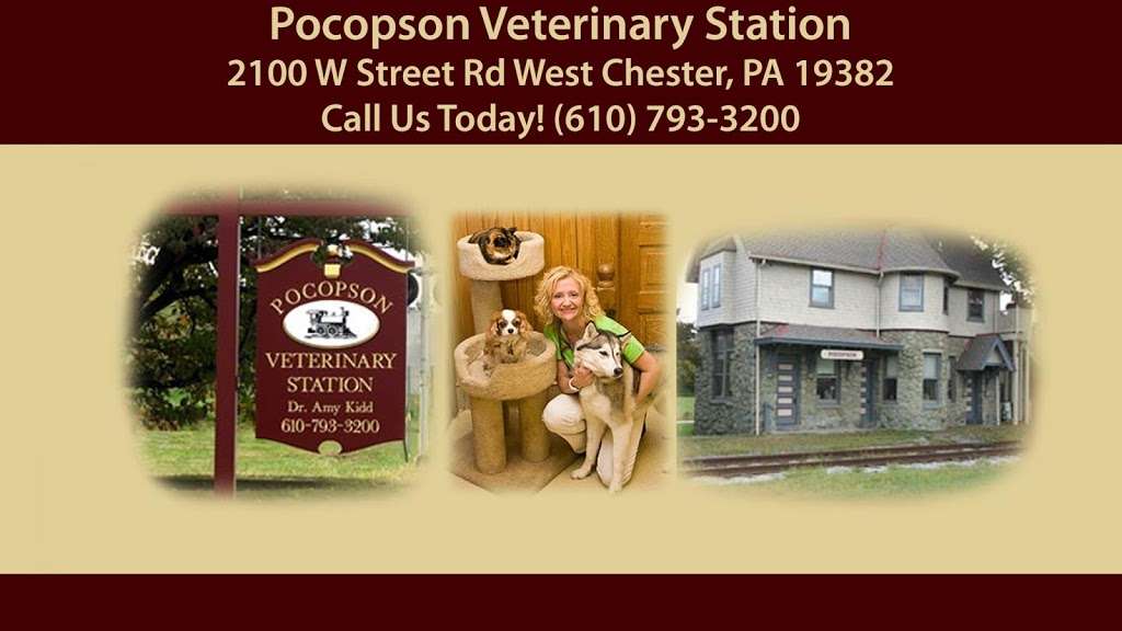 Pocopson Veterinary Station PC | 2100 W Street Rd, West Chester, PA 19382 | Phone: (610) 793-3200