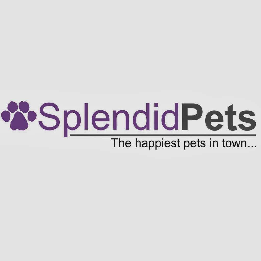 Splendid Pets Ltd | Unit 6, Glebe Farm Business Park, Westerham Rd, Keston BR2 6AX, UK | Phone: 0844 800 9907