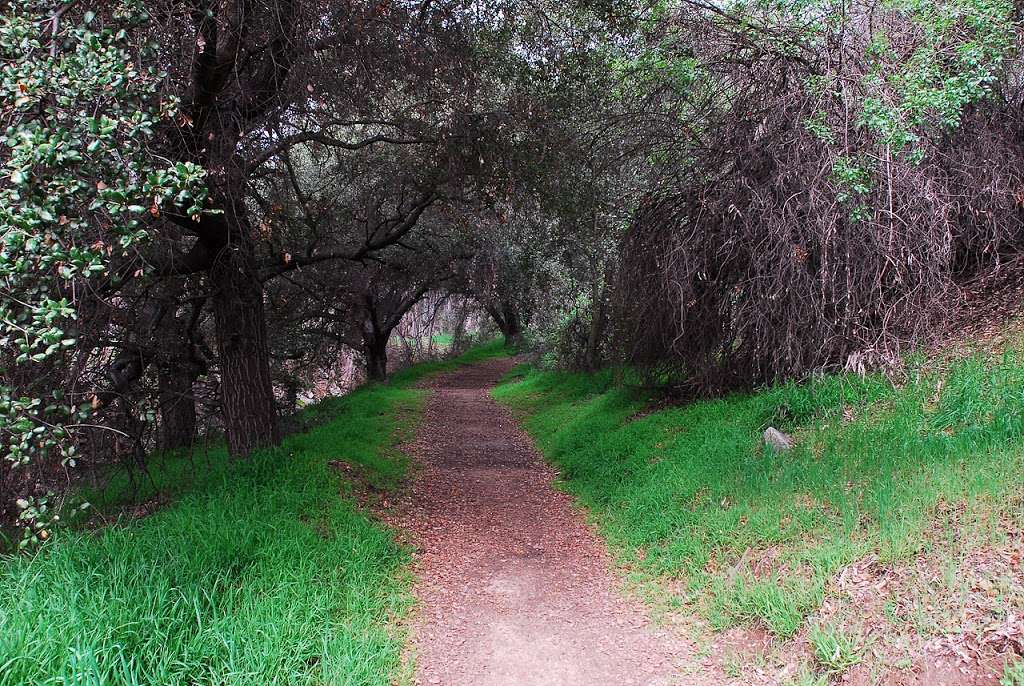 Cherry creek park | 4171 Cherry Canyon Motorway, La Cañada Flintridge, CA 91011