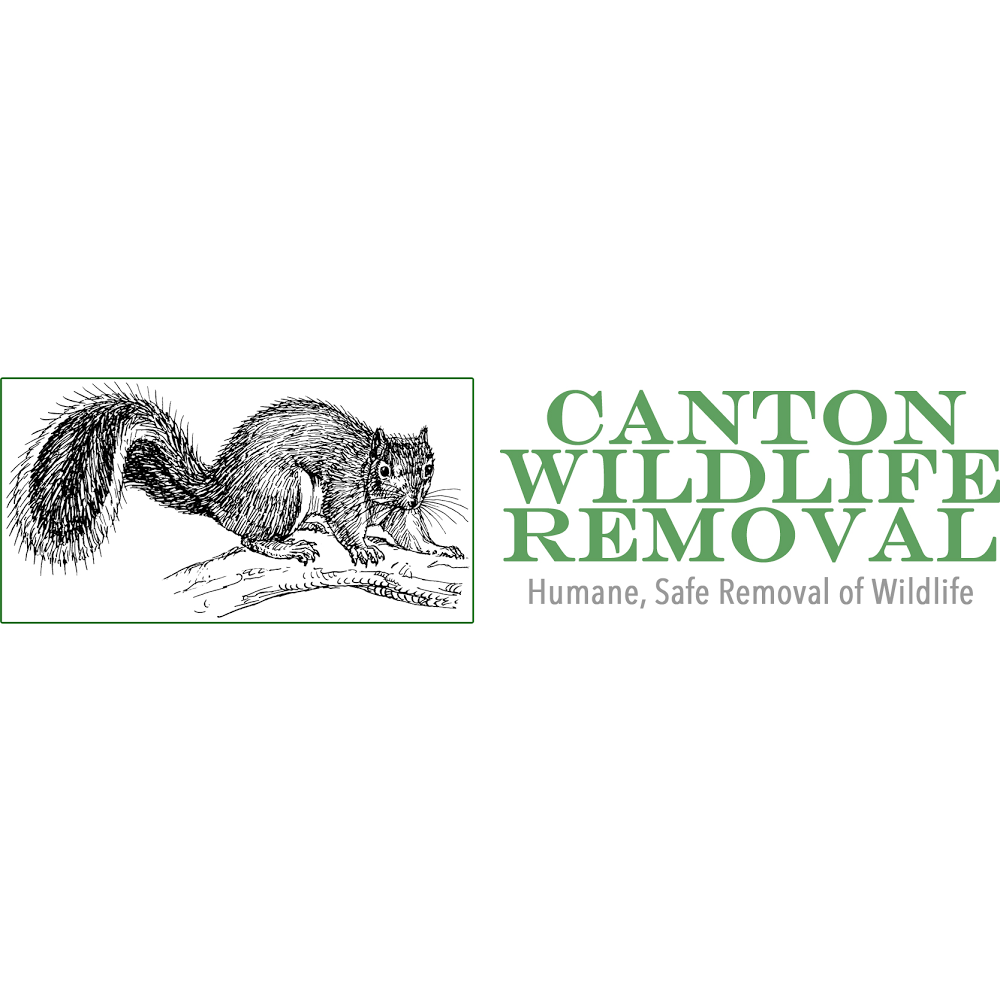 Canton Wildlife Removal | 28 Waterfall Dr unit m, Canton, MA 02021 | Phone: (774) 204-1776