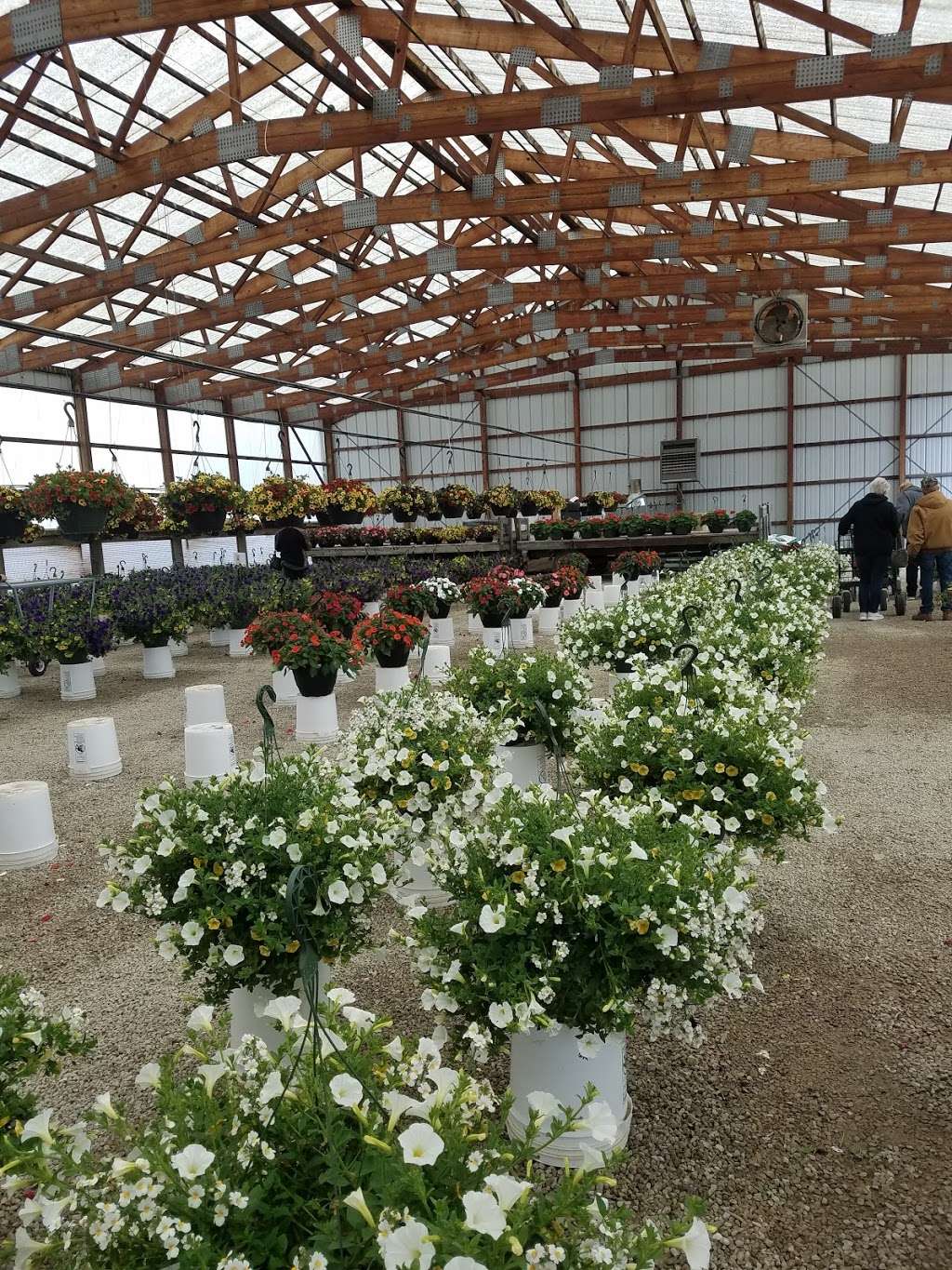 Tehan Greenhouses, Inc. | 1515 E Rawson Ave, Oak Creek, WI 53154, USA | Phone: (414) 762-9151