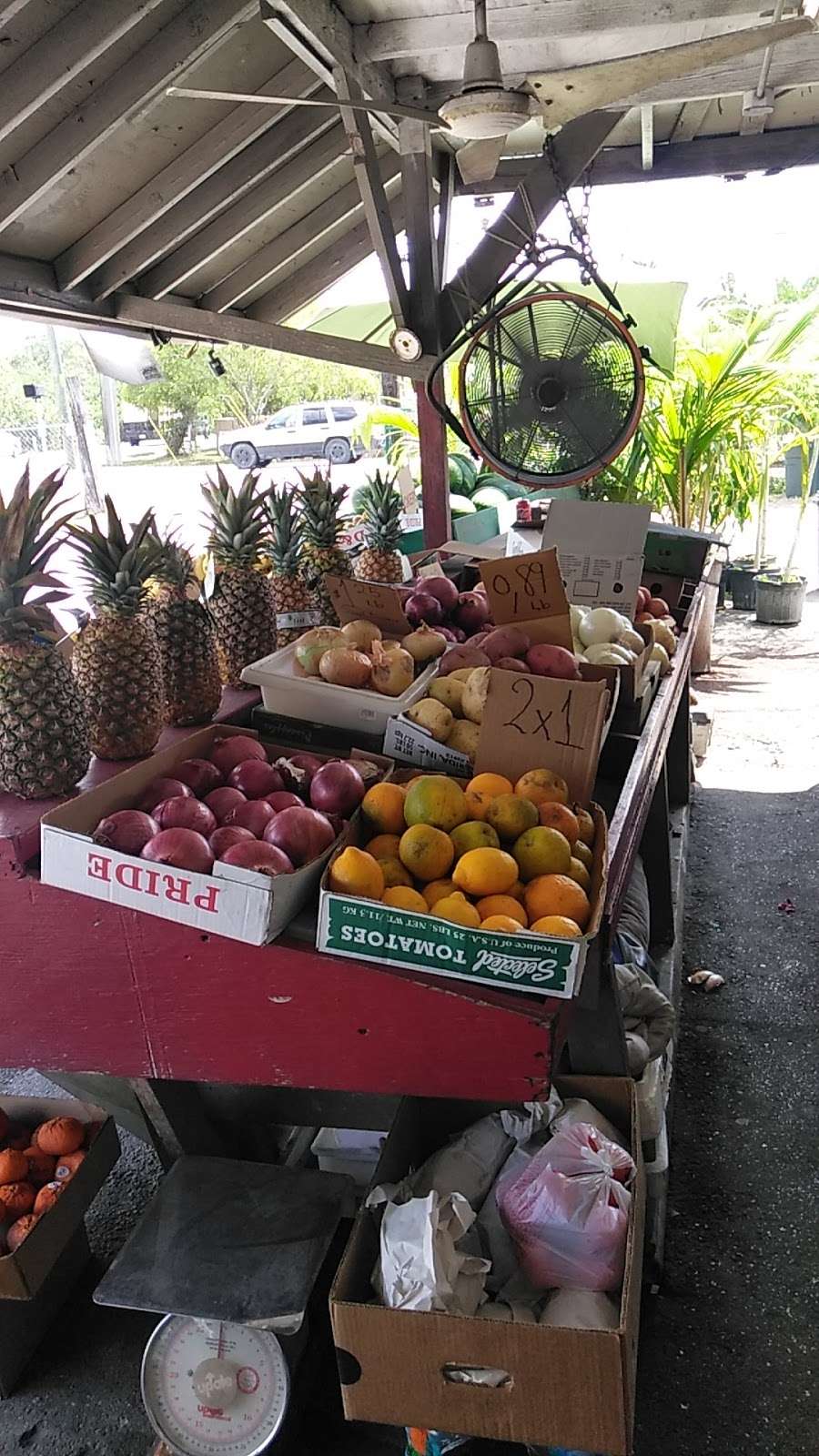 Coco-Orange Produce Market | 12528 Orange Blvd, West Palm Beach, FL 33412, USA | Phone: (561) 249-6994