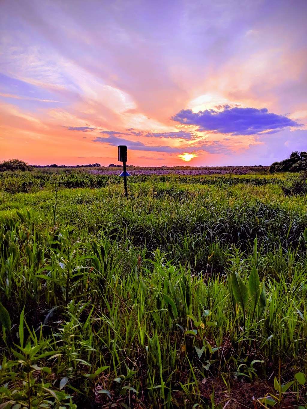 Three Lakes Wildlife Management Area | 1231 Prairie Lakes Rd, Kenansville, FL 34739, USA | Phone: (352) 732-1225